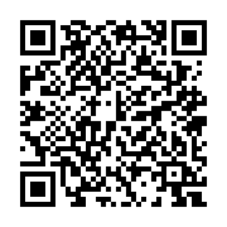 QR code for 8217ICO