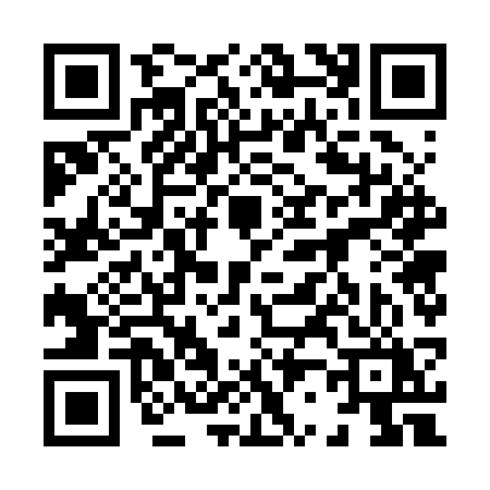 QR code for 8272SYT