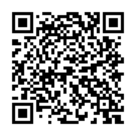 QR code for 8295PI