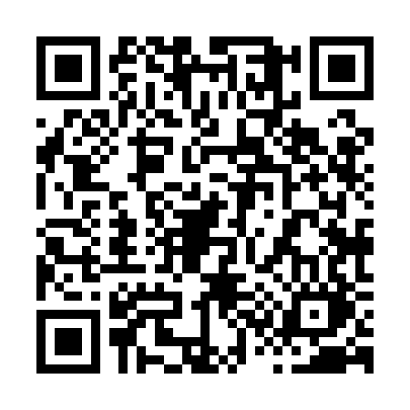 QR code for 8381BOR