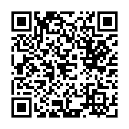 QR code for 8529DSO