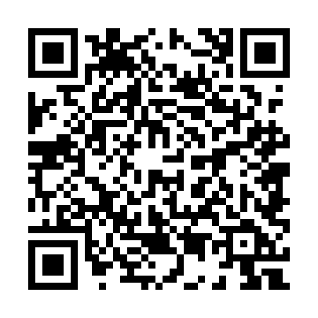 QR code for 8541LDV