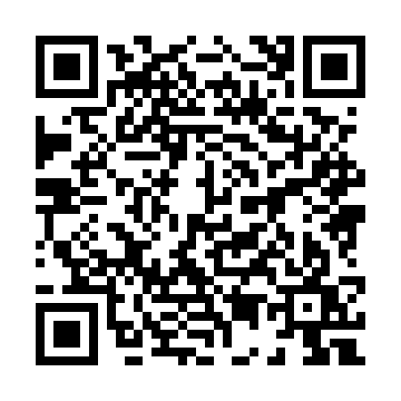 QR code for 8585SWF