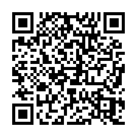 QR code for 8599SSP
