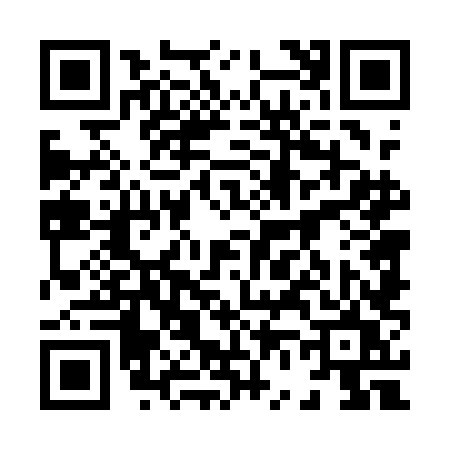 QR code for 8641LUR