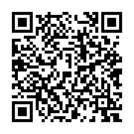QR code for 8641SKS