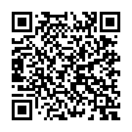 QR code for 868DMC