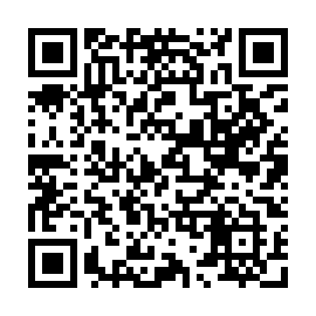 QR code for 8729OK