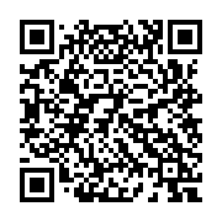 QR code for 8729PK