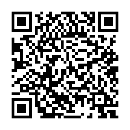 QR code for 8729QEQ