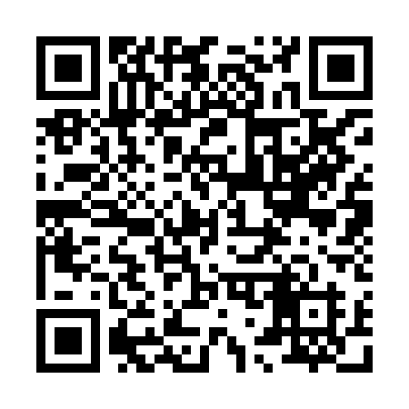QR code for 8738AH