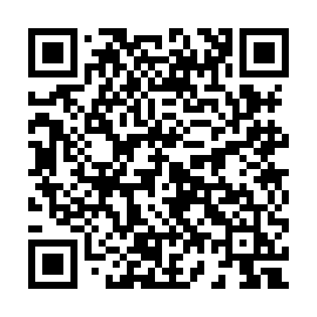 QR code for 8738EJ