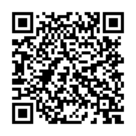 QR code for 8738XT