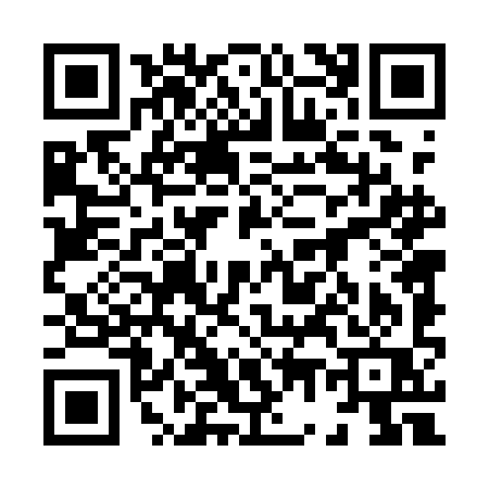 QR code for 8741IQD