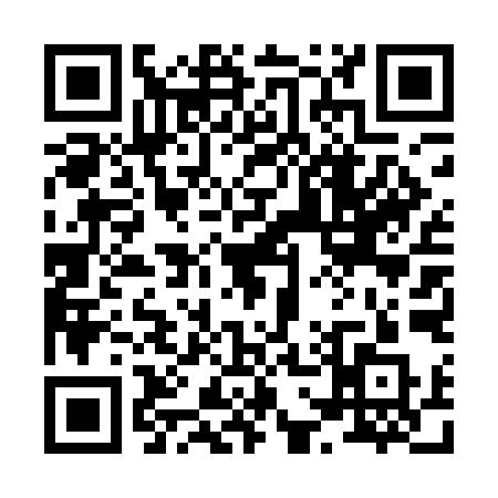 QR code for 8741IQI