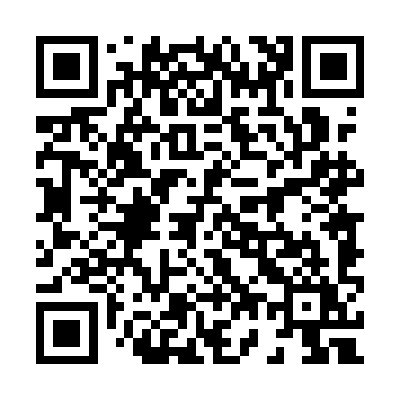 QR code for 8741IY