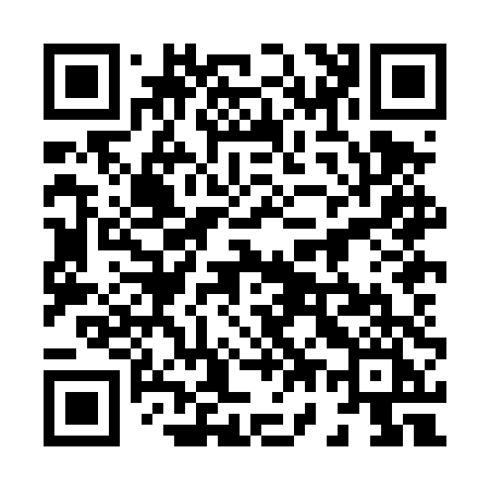 QR code for 878DTI