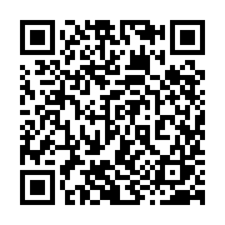 QR code for 8991IS