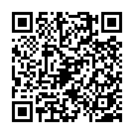 QR code for 9095AAI