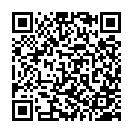 QR code for 9095PR