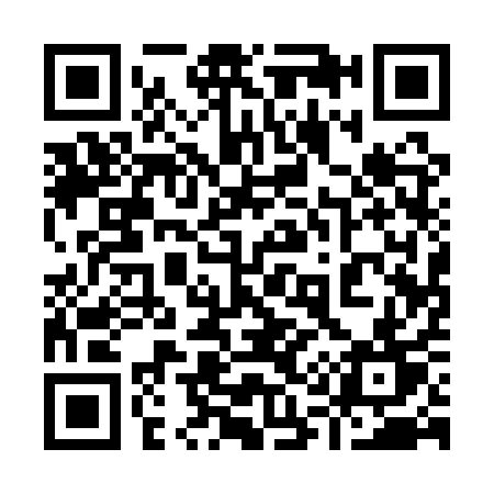 QR code for 9111QT