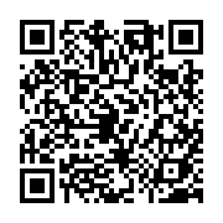QR code for 9113IIG