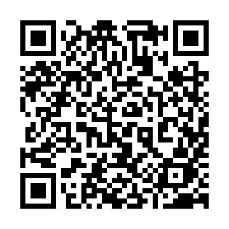 QR code for 9113YJ