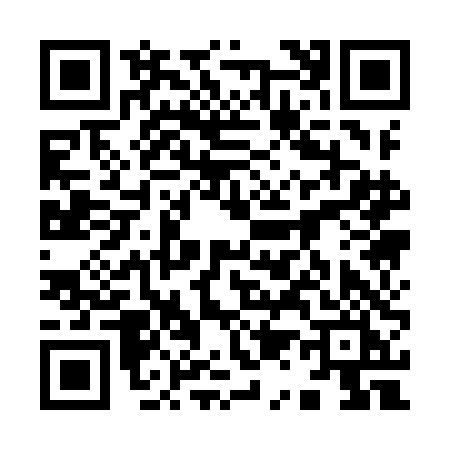 QR code for 9119DIB