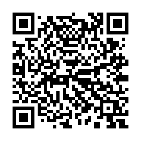 QR code for 911VNP