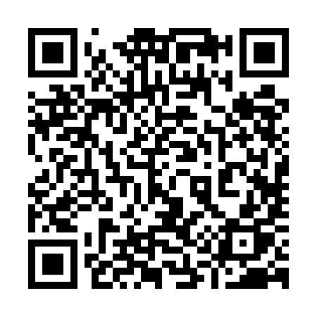 QR code for 9125IP
