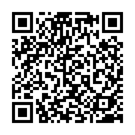QR code for 9131QI