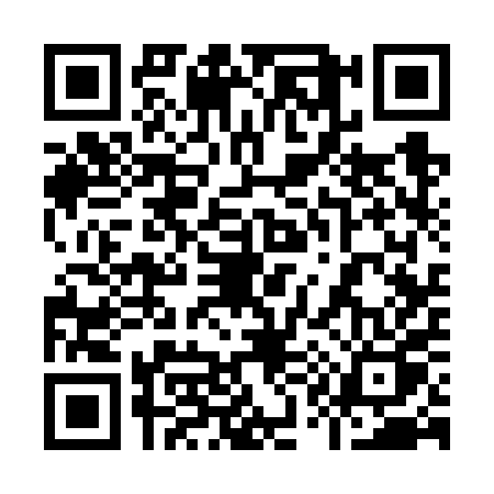 QR code for 9136PPS