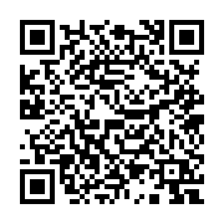 QR code for 9138PPV