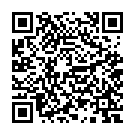 QR code for 9173DOX