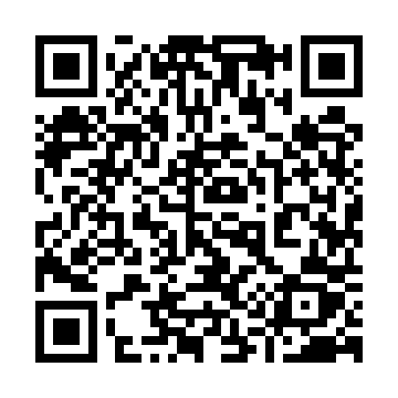 QR code for 9195PZ