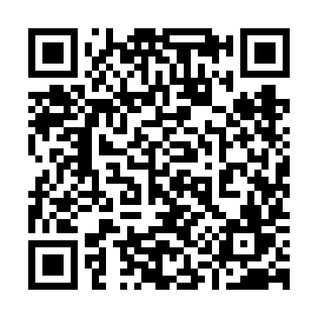 QR code for 9196IV