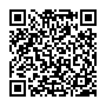 QR code for 919CAS