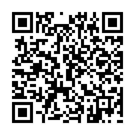 QR code for 919IAV