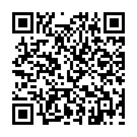 QR code for 919IIA