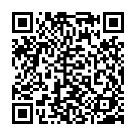 QR code for 919LZI