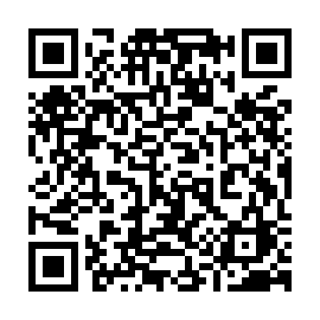 QR code for 919MCC