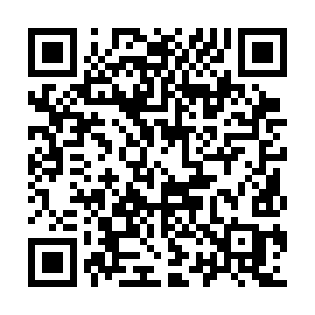 QR code for 9213IC