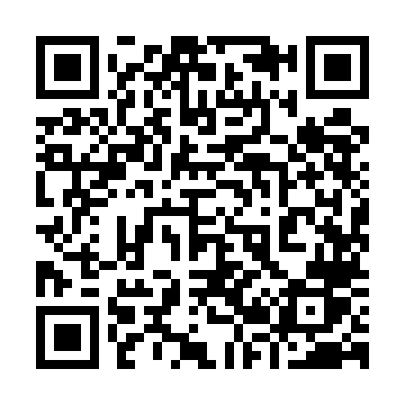 QR code for 9295LR