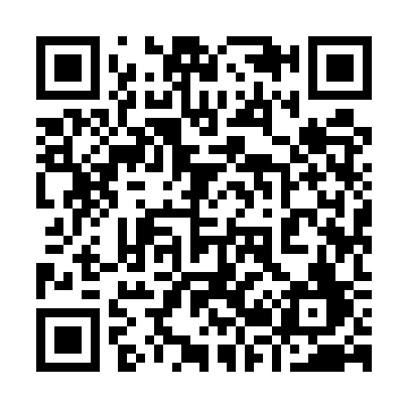 QR code for 9295SF