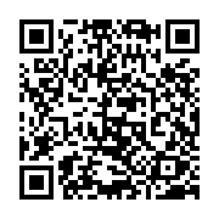 QR code for 938MJX