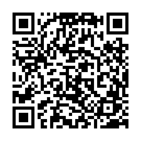 QR code for 938SFR