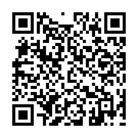 QR code for 9393DM