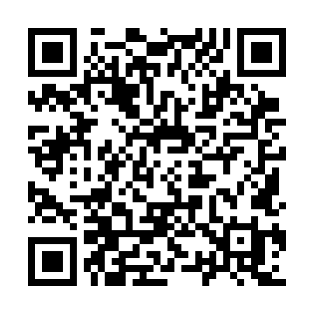 QR code for 9393LI