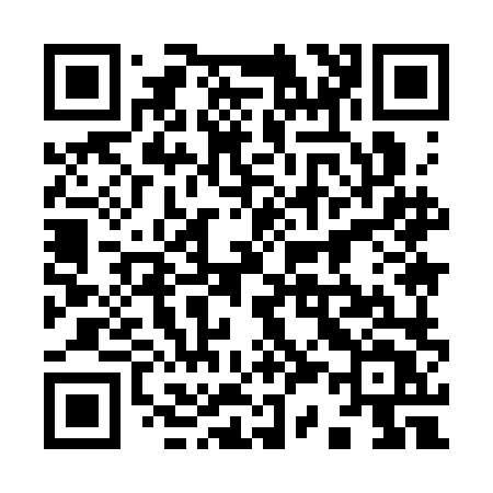 QR code for 9393LT