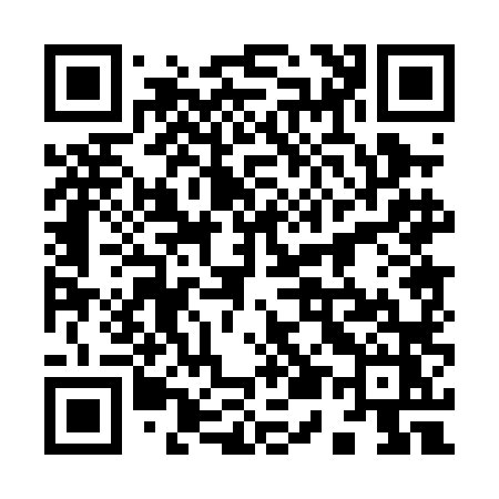 QR code for 9500LZ